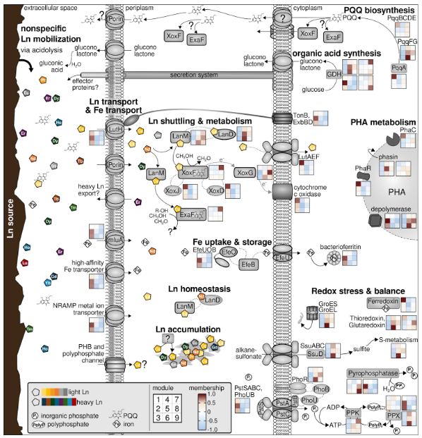 Gorniak et al., 2026