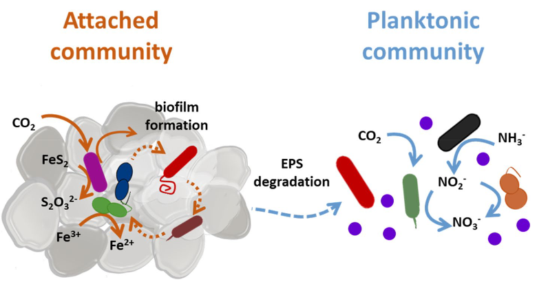Sharma et al., 2026