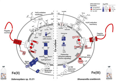 Cooper, Wegner et al., 2020