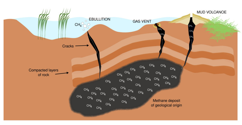 Methane seeps