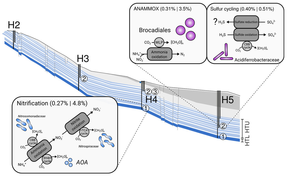 Summary Wegner et al., 2019.