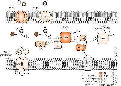 Wegner et al., 2020