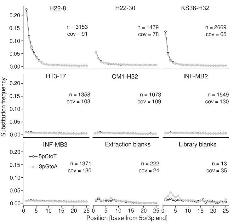 DNA damage patterns.